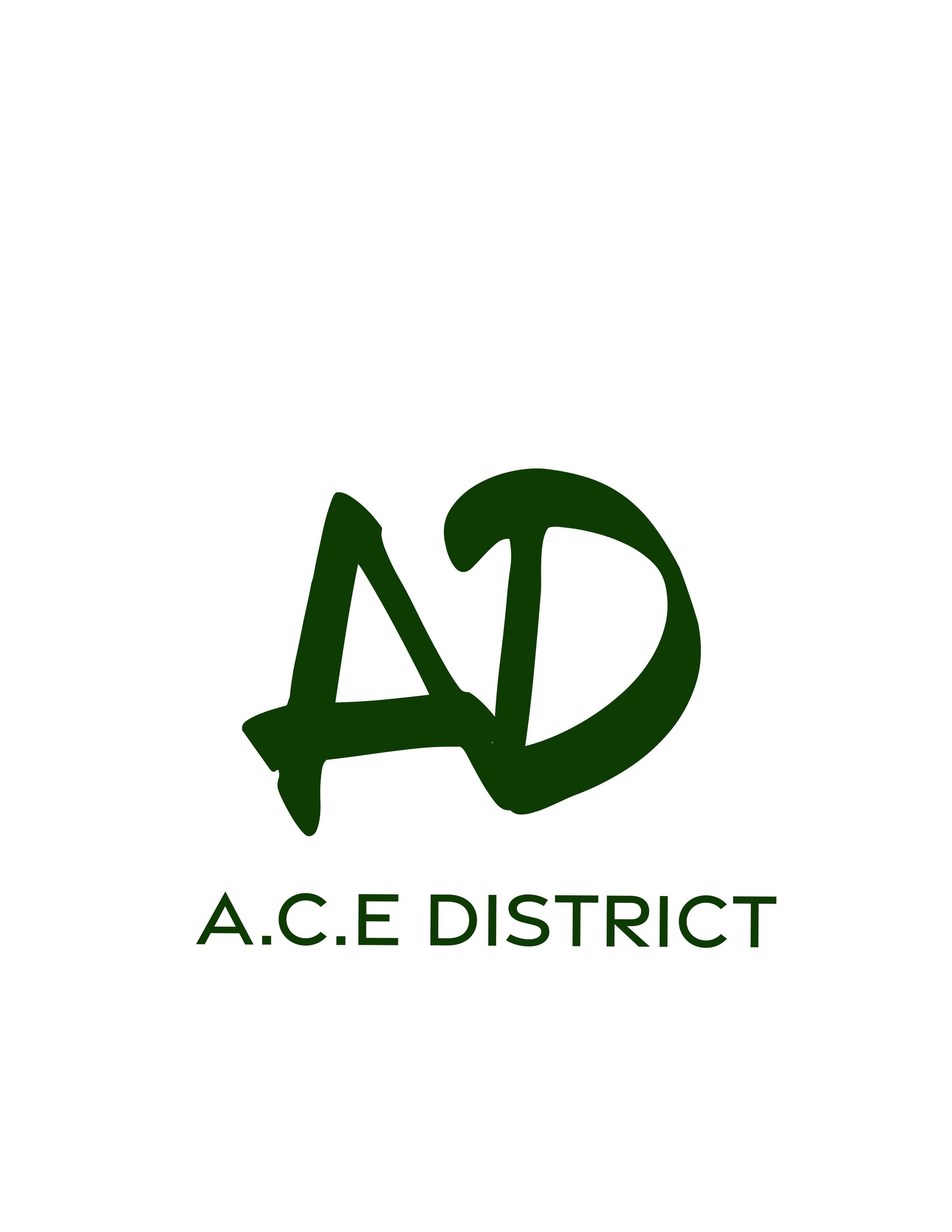 A.C.E District